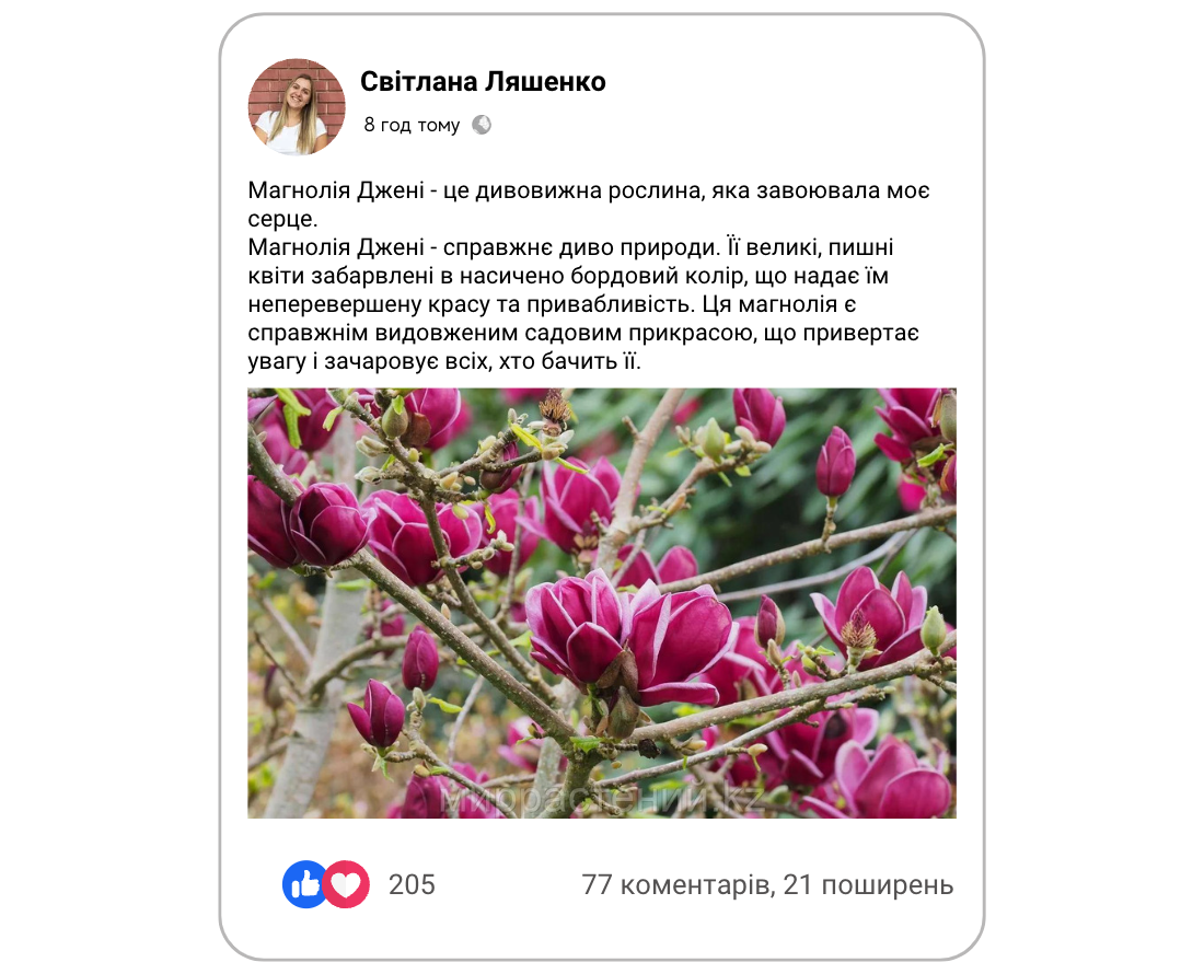 Заголовок